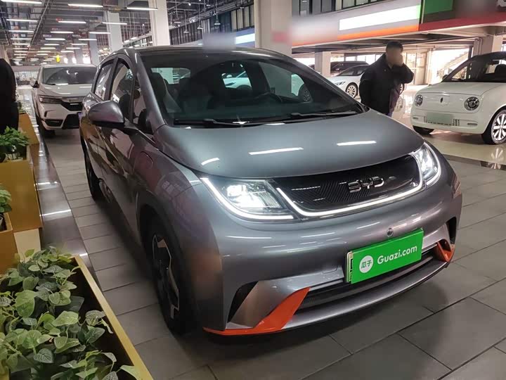 Фото 4 - BYD Dolphin