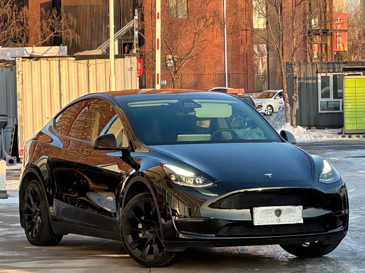 Фото 3 - Tesla Model Y
