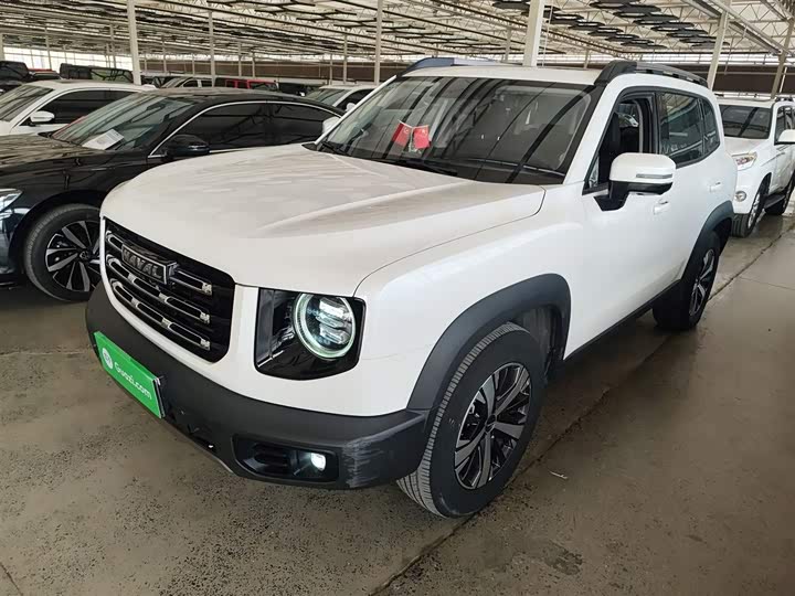 Фото 2 - Haval Dargo
