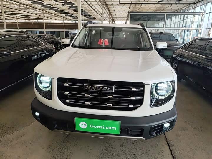 Фото 3 - Haval Dargo