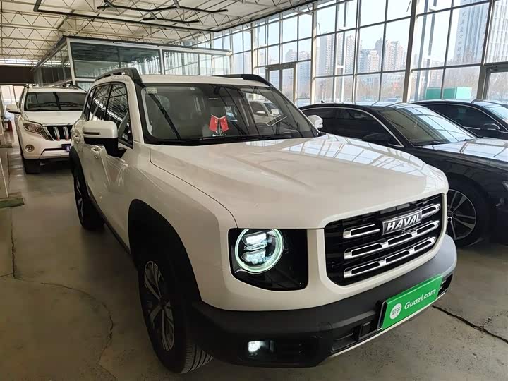 Фото 4 - Haval Dargo