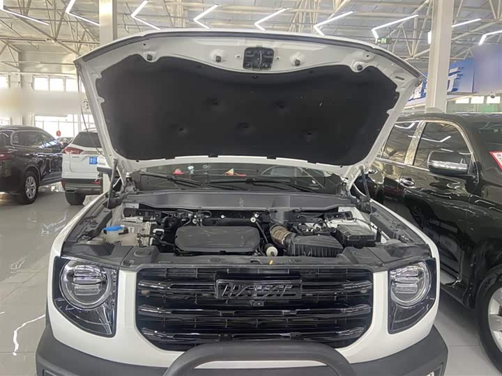 Фото 2 - Haval Dargo