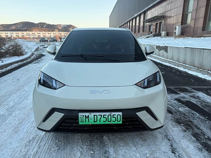 Фото 2 - BYD Seagull