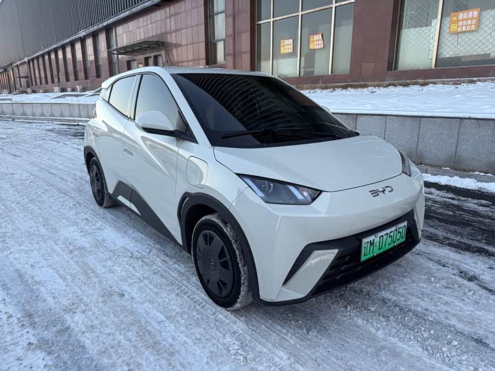 Фото 3 - BYD Seagull