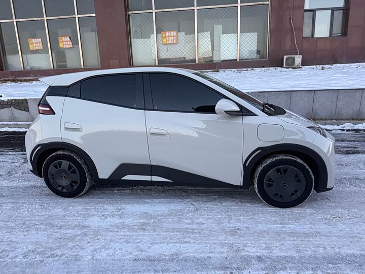 Фото 4 - BYD Seagull