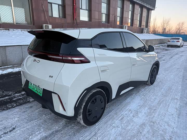 Фото 5 - BYD Seagull