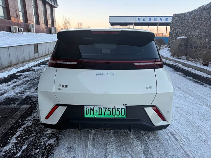 Фото 6 - BYD Seagull