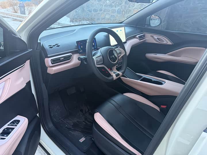 Фото 9 - BYD Seagull