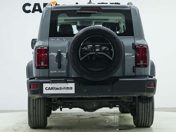 Фото 6 - Tank 300