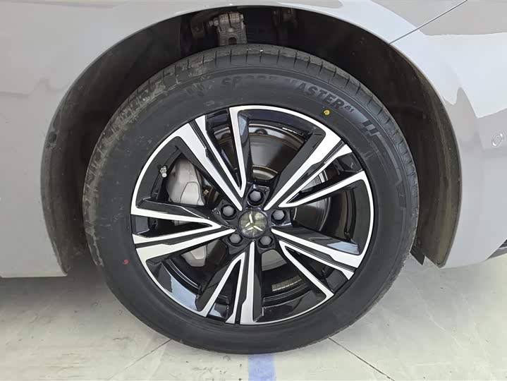 Фото 6 - Hongqi EH7