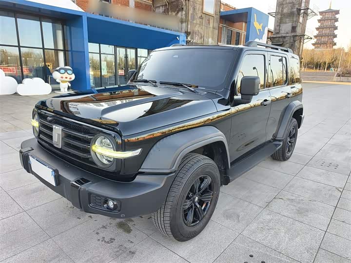 Фото 2 - Tank 300