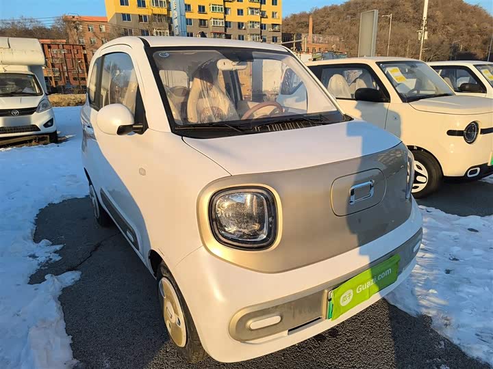 Фото 4 - Bestune Pony