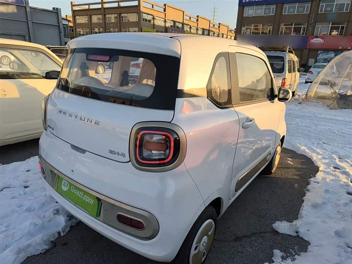 Фото 7 - Bestune Pony