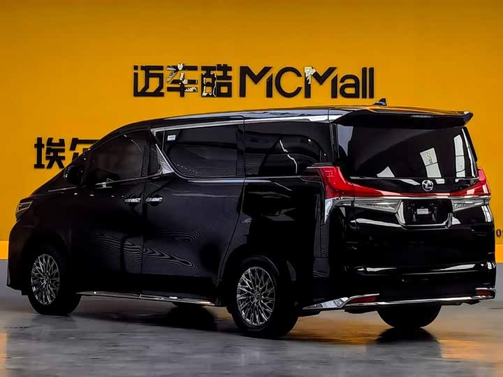 Фото 6 - Lexus LM