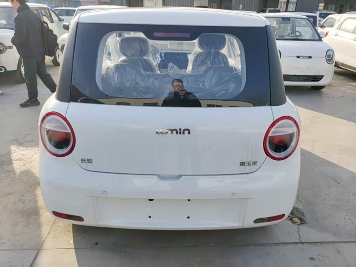 Фото 6 - Changan Qiyuan (Nevo) Lumin