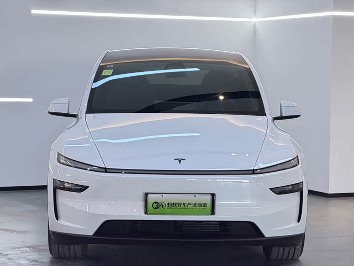Фото 2 - Tesla Model Y