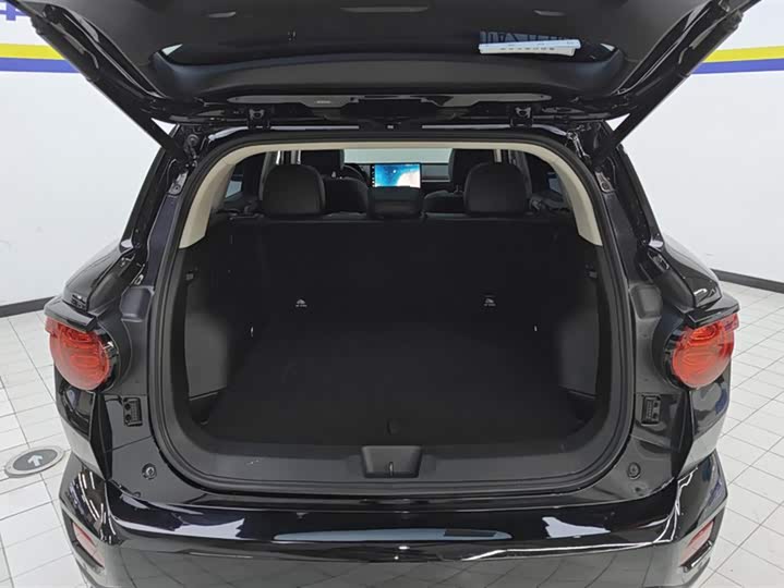 Фото 4 - Haval H-Dog