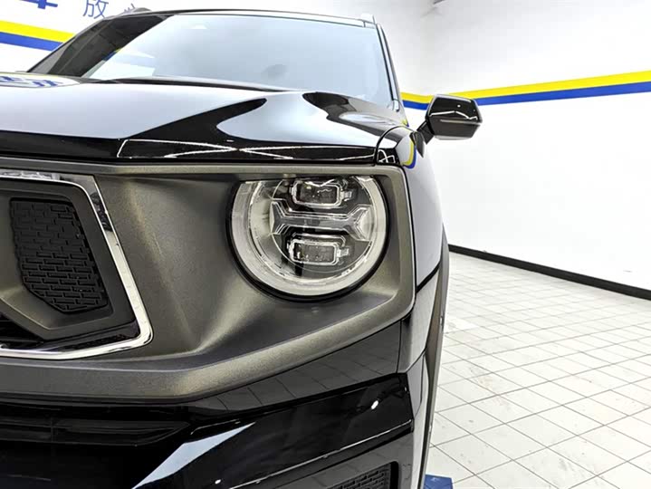 Фото 5 - Haval H-Dog