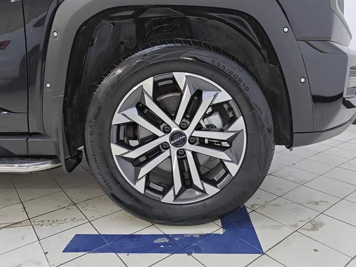 Фото 6 - Haval H-Dog