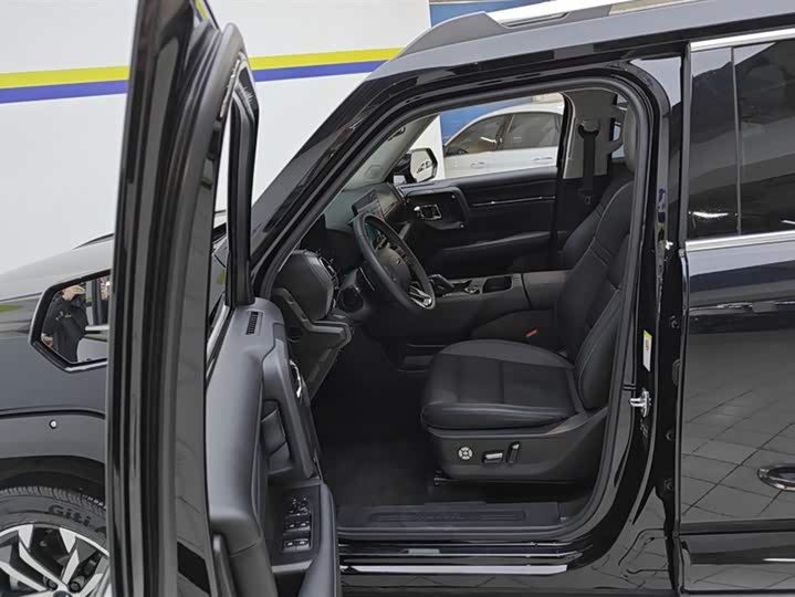 Фото 9 - Haval H-Dog