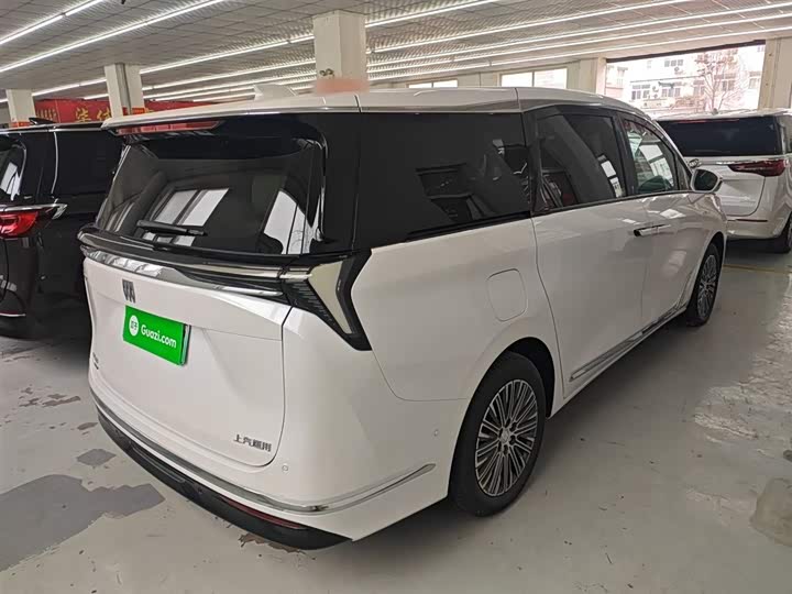 Фото 7 - Buick GL8 Hybrid