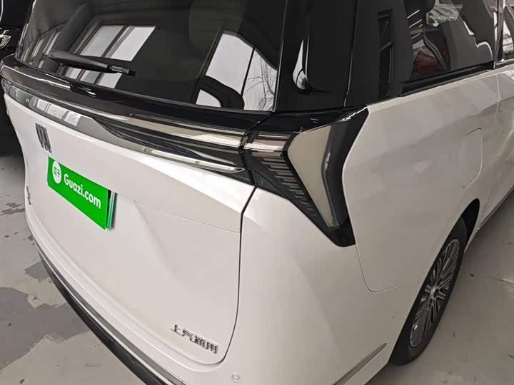 Фото 8 - Buick GL8 Hybrid