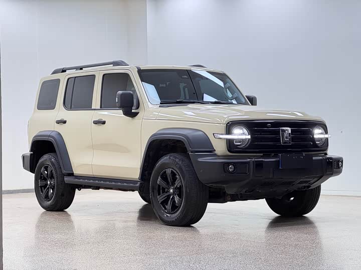 Фото 3 - Tank 300