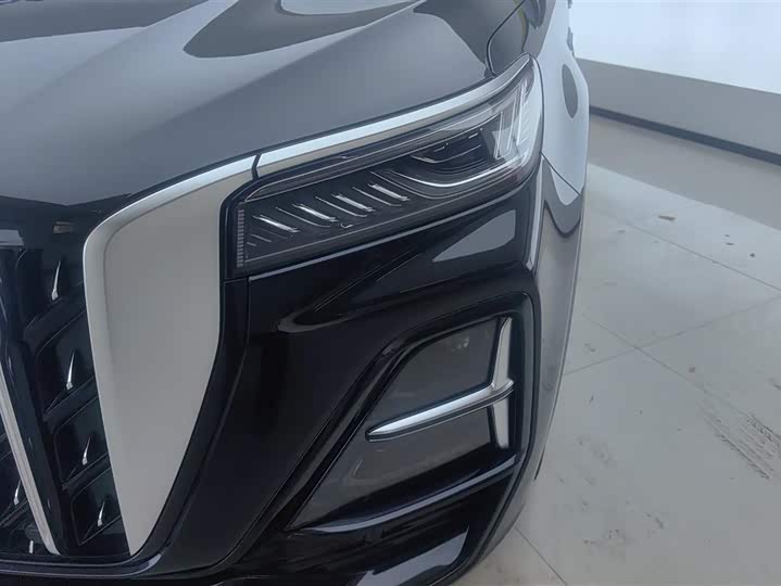 Фото 5 - Hongqi HS5