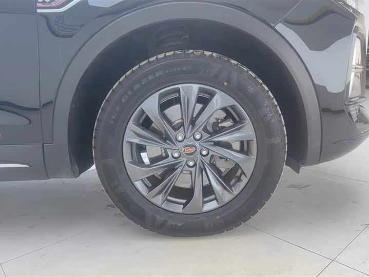 Фото 6 - Hongqi HS5