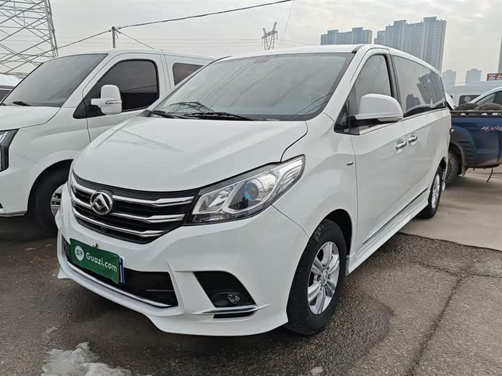 Фото 1 - Maxus G10