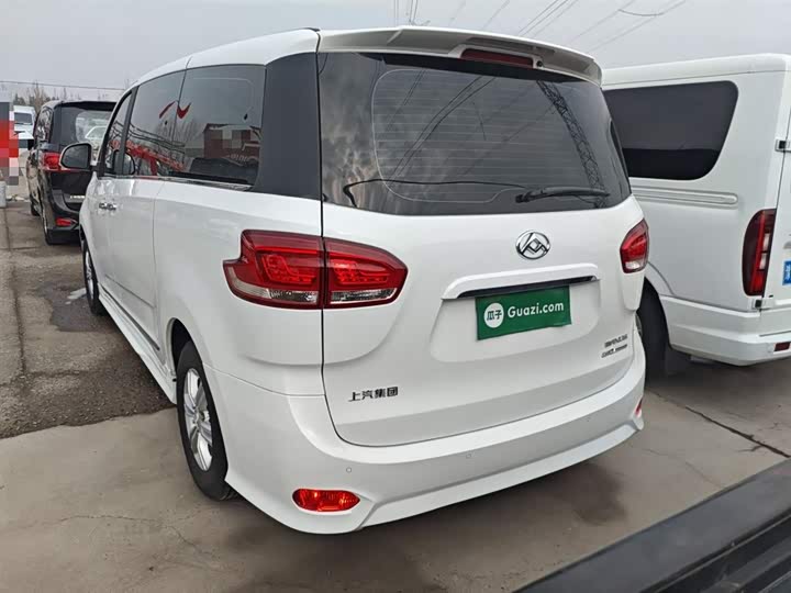 Фото 6 - Maxus G10