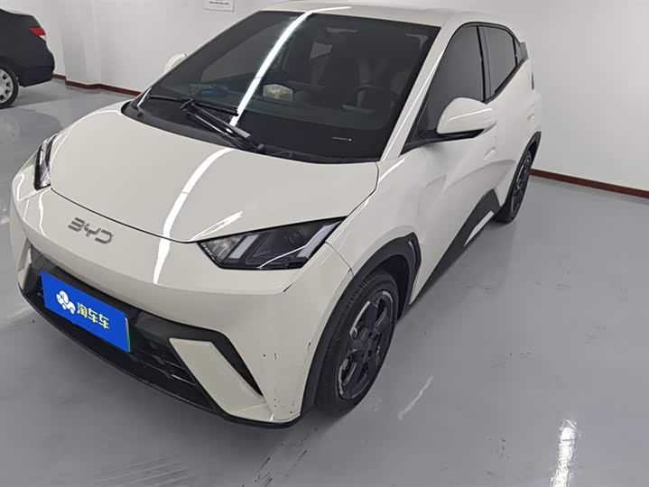 Фото 1 - BYD Seagull