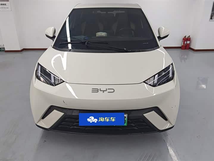 Фото 2 - BYD Seagull