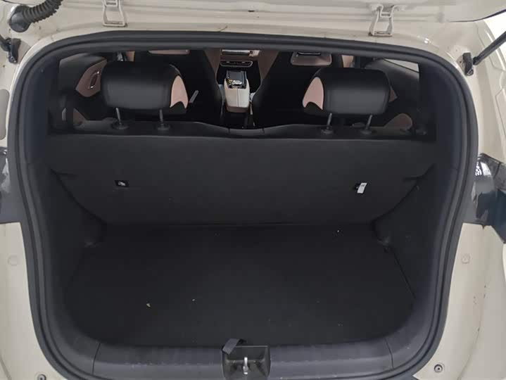 Фото 4 - BYD Seagull