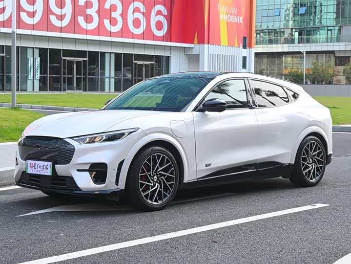 Фото 1 - Ford Mustang Mach-E