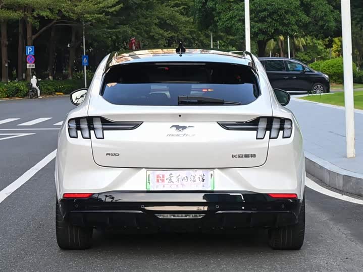 Фото 4 - Ford Mustang Mach-E