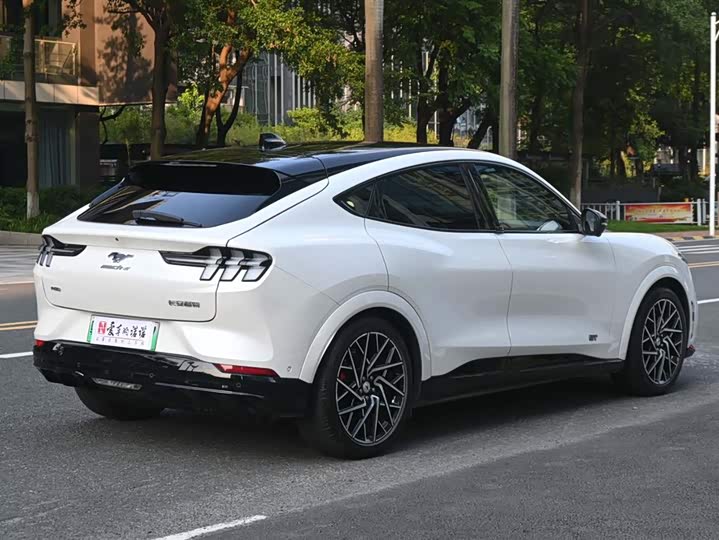 Фото 5 - Ford Mustang Mach-E