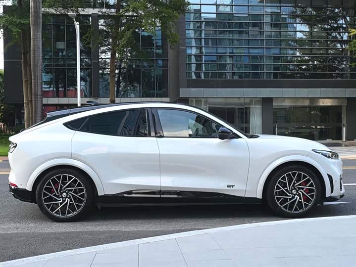 Фото 6 - Ford Mustang Mach-E