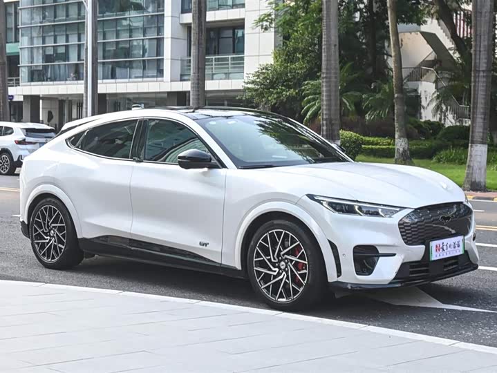 Фото 7 - Ford Mustang Mach-E