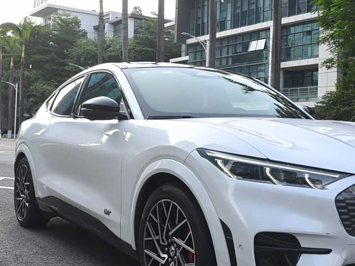 Фото 9 - Ford Mustang Mach-E