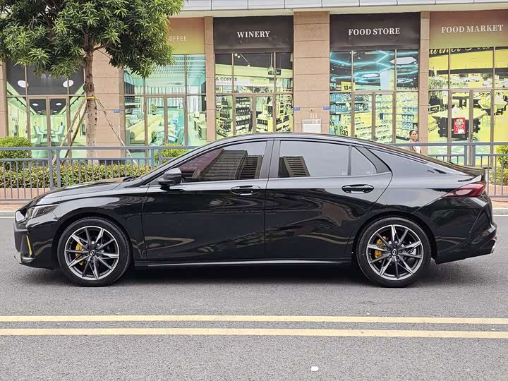 Фото 7 - GAC Trumpchi Empow R