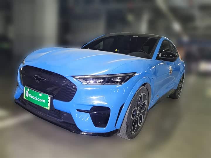 Фото 1 - Ford Mustang Mach-E