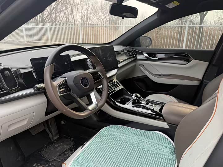 Фото 4 - BYD Qin Plus