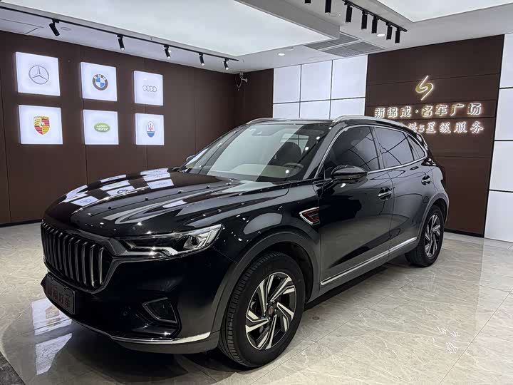 Фото 1 - Hongqi HS5