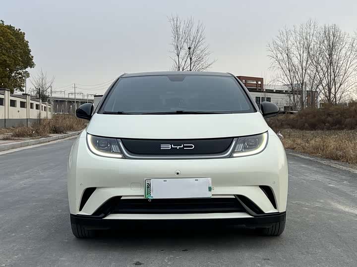 Фото 2 - BYD Dolphin