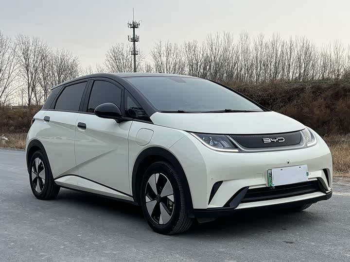 Фото 3 - BYD Dolphin