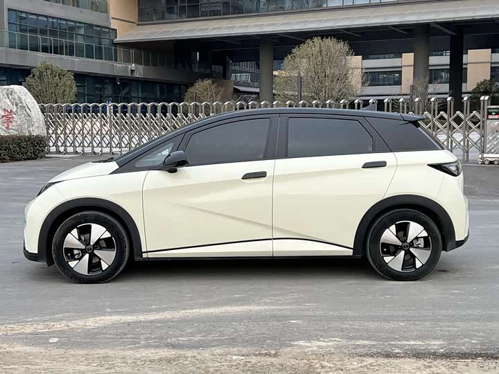 Фото 5 - BYD Dolphin