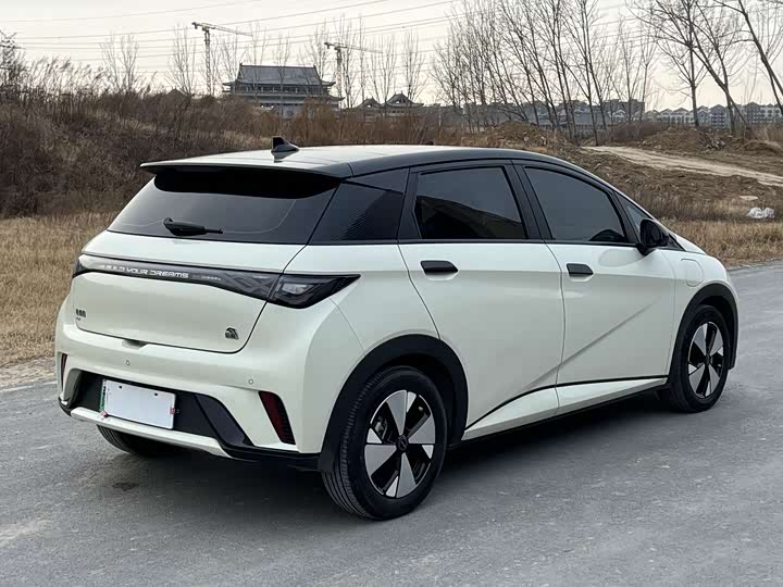 Фото 7 - BYD Dolphin