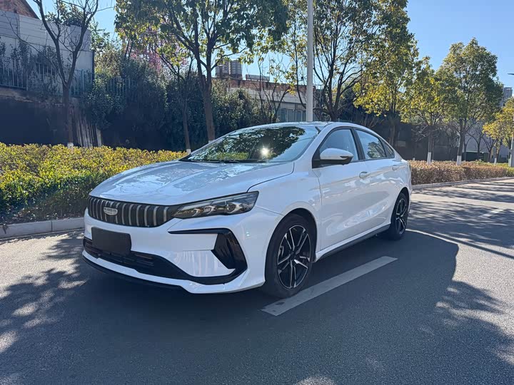 Фото 1 - Geely Binrui