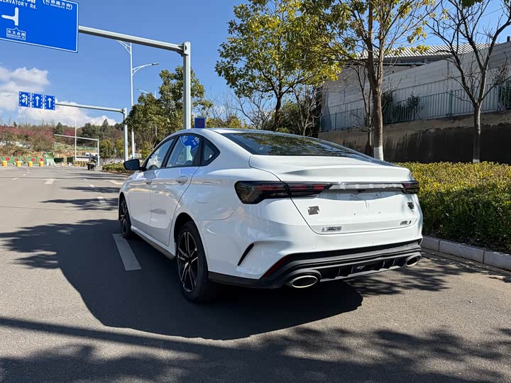 Фото 7 - Geely Binrui